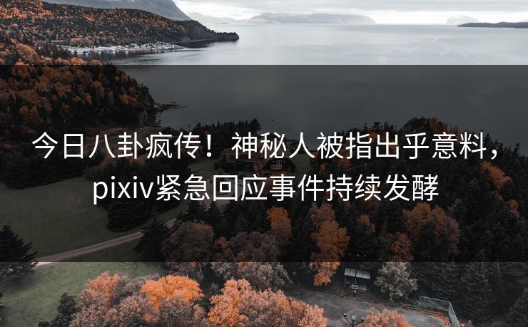 今日八卦疯传！神秘人被指出乎意料，pixiv紧急回应事件持续发酵