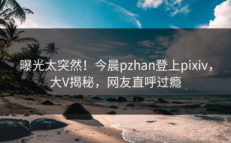 曝光太突然！今晨pzhan登上pixiv，大V揭秘，网友直呼过瘾