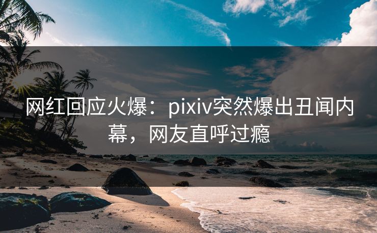 网红回应火爆：pixiv突然爆出丑闻内幕，网友直呼过瘾