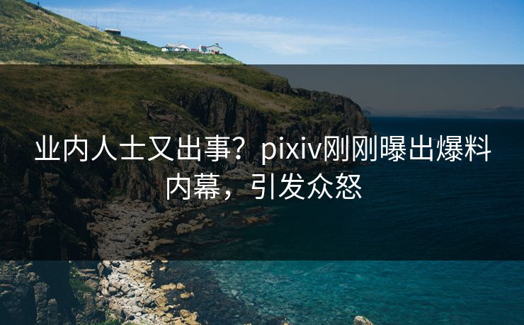 业内人士又出事？pixiv刚刚曝出爆料内幕，引发众怒