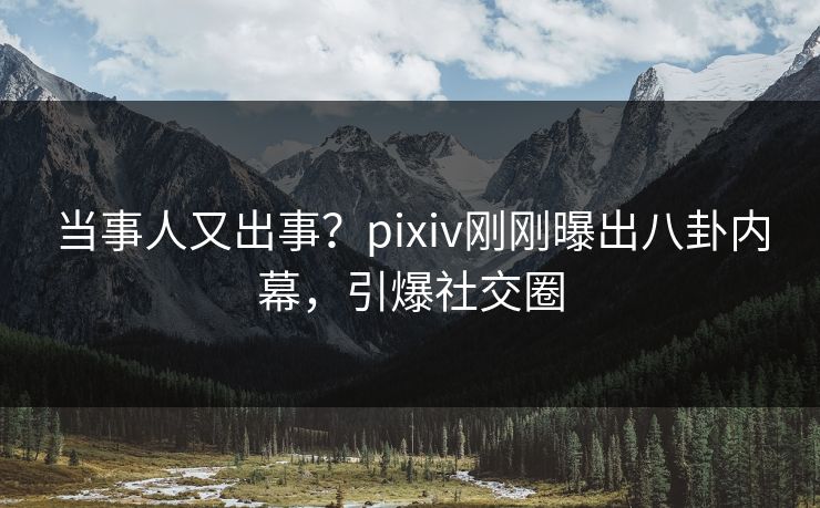 当事人又出事？pixiv刚刚曝出八卦内幕，引爆社交圈