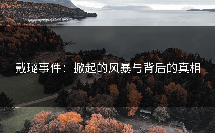 戴璐事件：掀起的风暴与背后的真相