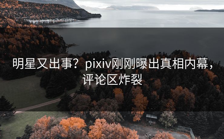 明星又出事？pixiv刚刚曝出真相内幕，评论区炸裂