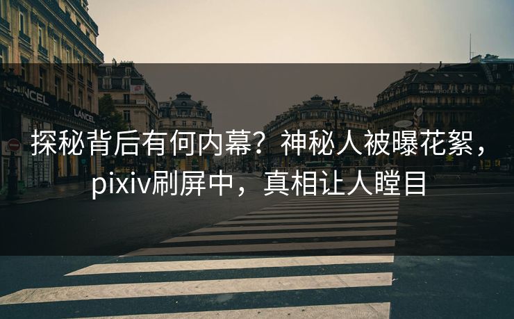 探秘背后有何内幕？神秘人被曝花絮，pixiv刷屏中，真相让人瞠目