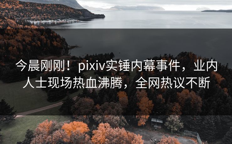 今晨刚刚！pixiv实锤内幕事件，业内人士现场热血沸腾，全网热议不断