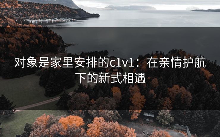 对象是家里安排的c1v1：在亲情护航下的新式相遇