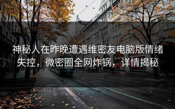 神秘人在昨晚遭遇维密友电脑版情绪失控，微密圈全网炸锅，详情揭秘